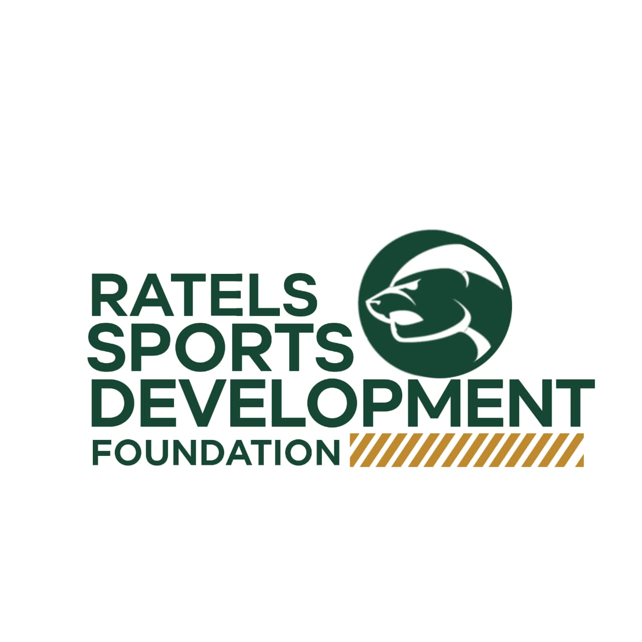 Ratels Sports Foundation Partners MGGN Through Mini Women Football Championship